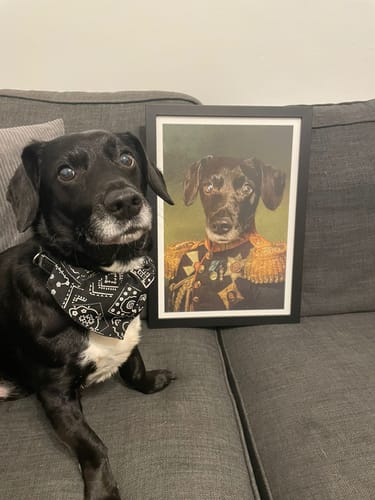 Customer photo review of The General - Custom Vintage Pet Portrait