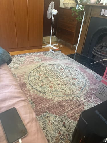 Customer photo review of June Medallion Transitional Blush Rug