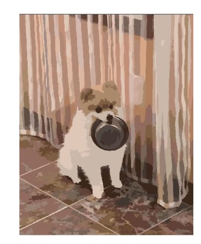 Customer photo review of Paint By Numbers - Pets