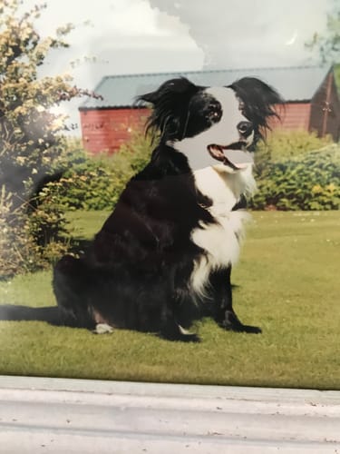 Customer photo review of Girl & Dogs - Life is better with a dog Personalised Mug