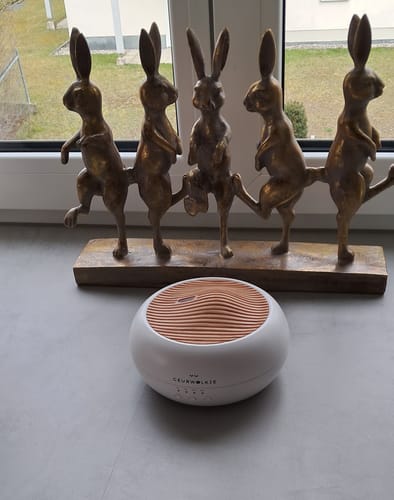 Customer photo review of Sakura Aroma Diffuser Weiß 250ml Smellacloud
