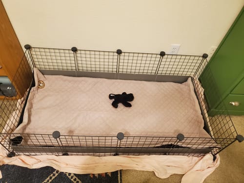 Customer photo review of Piggy Condo C&C Cage