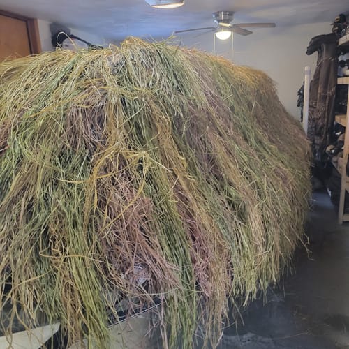 Customer photo review of Hunting Blind Raffia Grass (Pack)