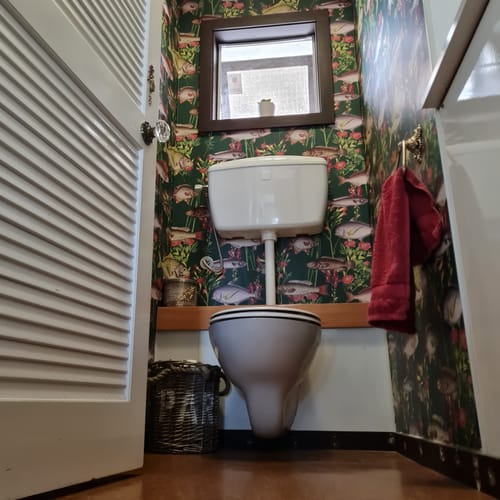 Customer photo review of Lagoon Fish Wallpaper - 2 Colours