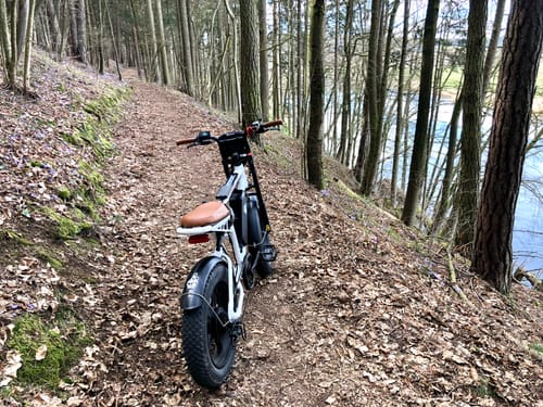 Customer photo review of Engwe M20 750W 20" Fat Bike E Mountain Bike EMTB