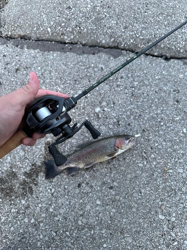 Customer photo review of NEW! Flight Feather FF01 Power BFS Casting Reel | Cormorant Casting Reel