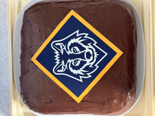 Customer photo review of 19 cm x 19 cm Square Pre-cut Custom Edible Icing Image