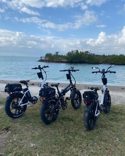 Customer photo review of U7 Step-thru Foldable Fat Tire Electric Bike