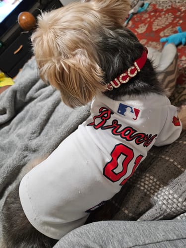 Customer photo review of CUSTOM DOG COLLARS WITH STUDDED JEWELRY
