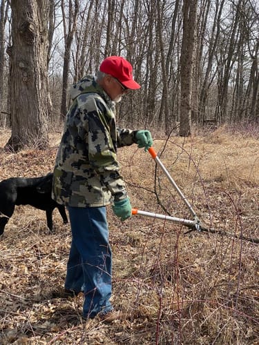 Customer photo review of Original Lowe 32" Anvil Lopper - Heavy Duty Prunner 2" Cut