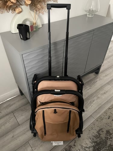 Customer photo review of Lejoux 365 Baby Stroller