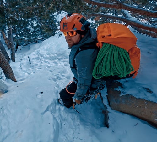 Customer photo review of Trion 50 Pack