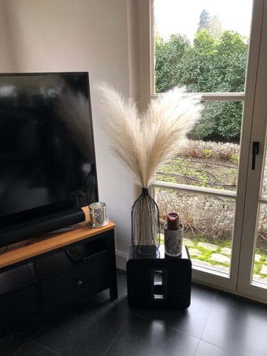 Fotorecensie van een klant over Pampas 110cm (3 stengels)- Beige