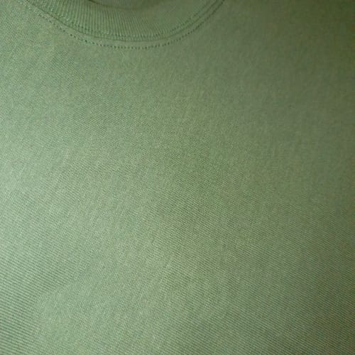 Customer photo review of INFLATION 100% Polyester Blank Lightweight Tees
