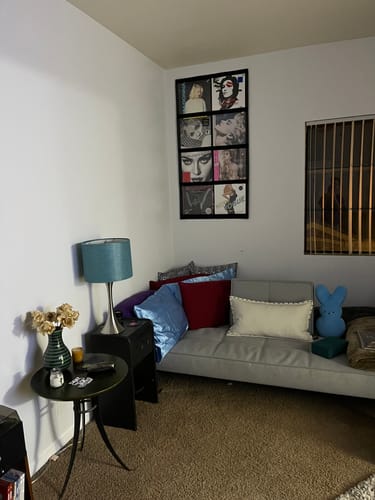 Customer photo review of 12" Vinyl Record Display Frame - LP Wall Storage