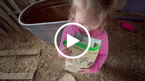 Customer video review of GrubTerra Dried Larvae
