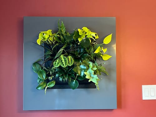 Customer photo review of Live Picture Plant Frame