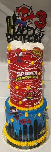 Customer photo review of A4 Rectangle Custom Edible Icing Image