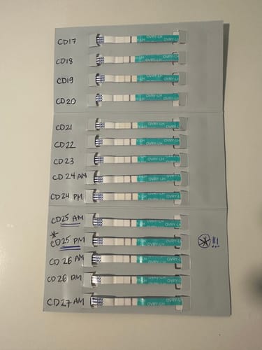 Customer photo review of Ovulation Test Strips
