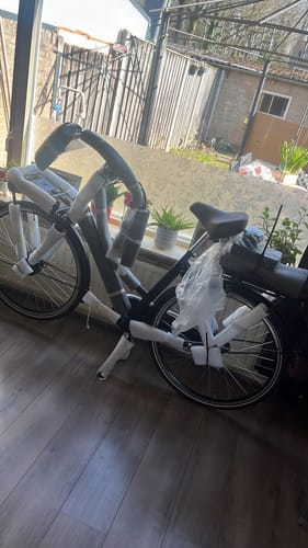 Customer photo review of E-Cargo N3