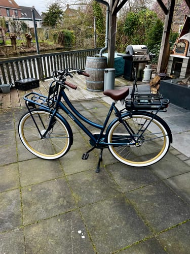 Customer photo review of E-Cargo N3