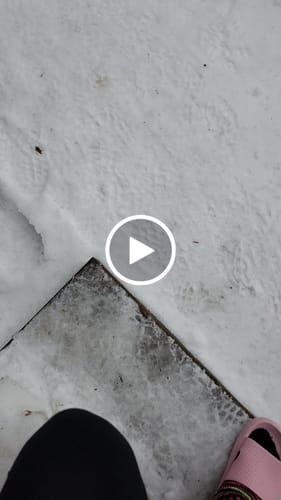 Customer video review of HappyFlops