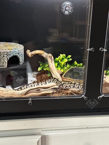 Customer photo review of XT3 36Lx18Dx18H - STACKABLE