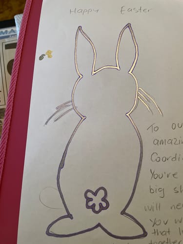 Customer photo review of Double Line Outline Pen