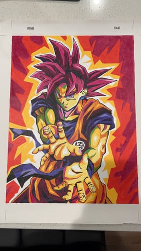 Customer photo review of One Piece: Straw Hat Crew - Anime Paint By Numbers Kit
