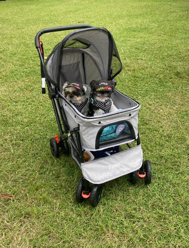 Customer photo review of PaWz Pet Dog Stroller Pram 4 Wheels