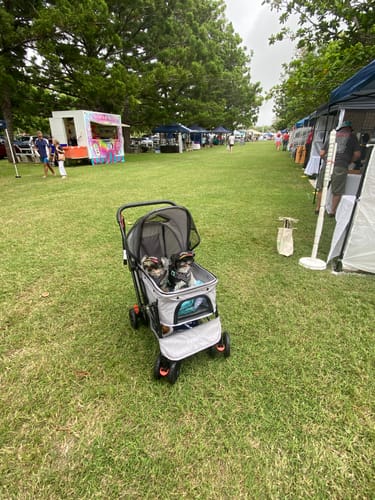 Customer photo review of PaWz Pet Dog Stroller Pram 4 Wheels