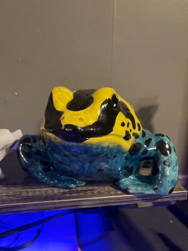 Customer photo review of Dyeing Poison Dart Toad