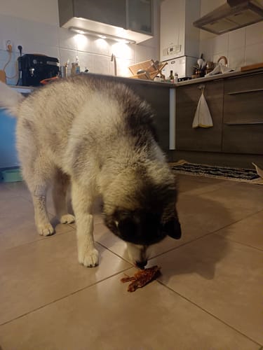 Customer photo review of Filet de poulet