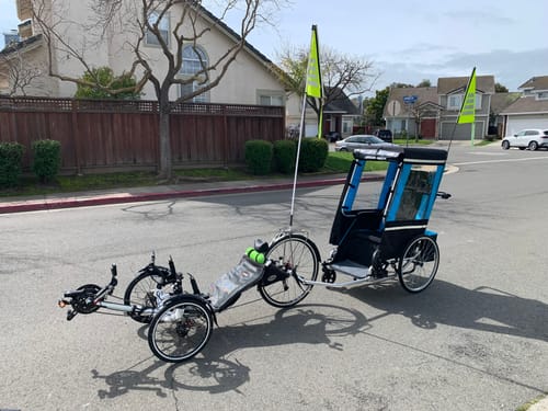 Customer photo review of Traumvelo Flags