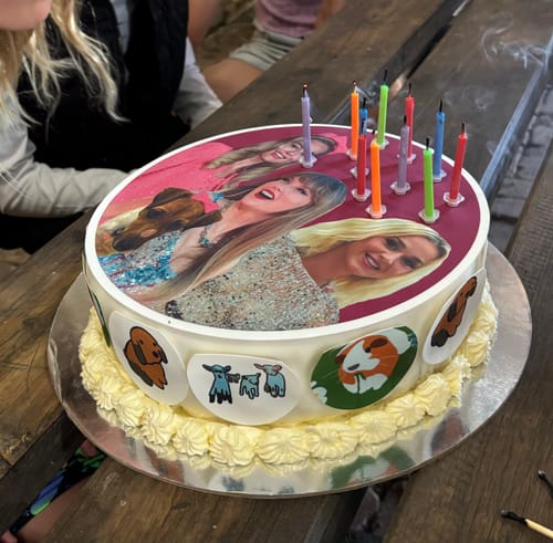 Customer photo review of 20 cm Pre-cut Circle Custom Edible Icing Image