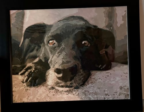 Customer photo review of Custom Paint by Number Kit