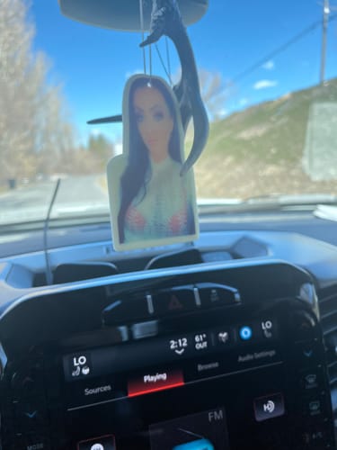 Customer photo review of Custom Shape Air Freshener