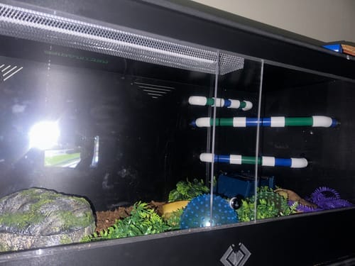 Customer photo review of XT4 BIO (48Lx24Dx24H) - STACKABLE
