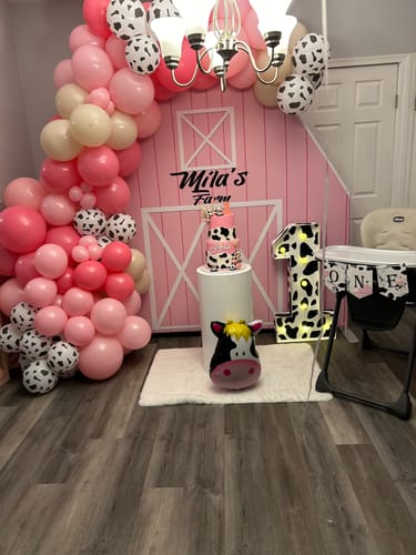 Customer photo review of Pink Barn Door Farm Theme Party Decoration for Kids Birthday Party