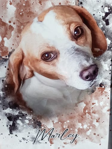 undefined review of Your Pet as Watercolor Portrait image 1 out of 1