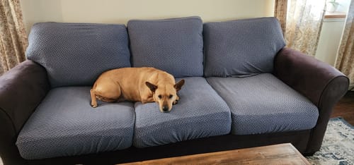 Customer photo review of Magic Sofa Cover - Classic