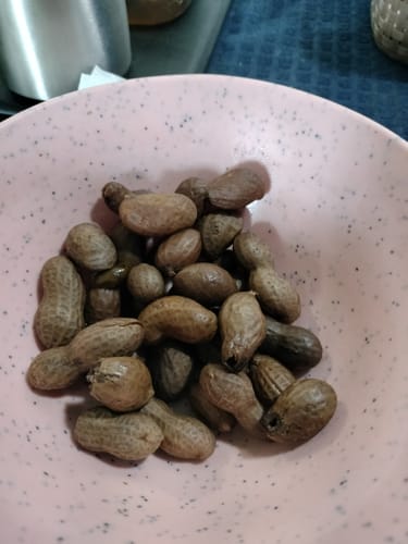 Customer photo review of Boil-The-Bag Boiled Peanut Kit - (2 Bags)