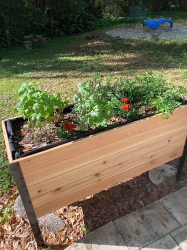 Customer photo review of 18" x 48" Raised Garden Bed