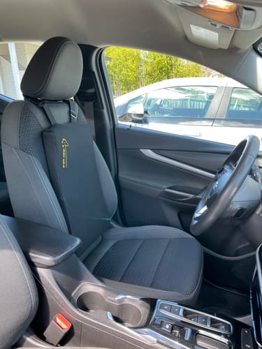 Customer photo review of Giraffe Cushion