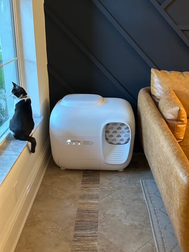 Customer photo review of Self-Cleaning Litter Box