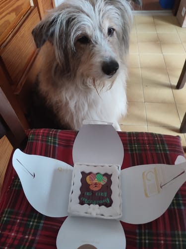 Customer photo review of Torta Per Cani Pasquale Personalizzabile