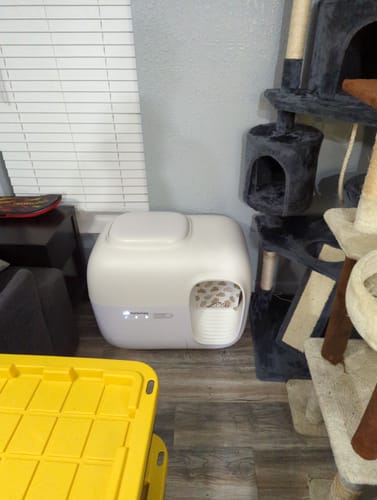 Customer photo review of Self-Cleaning Litter Box