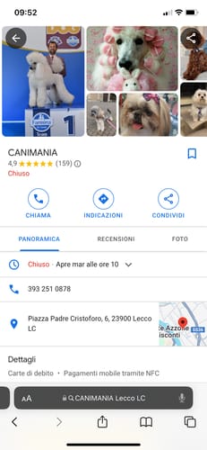 Customer photo review of Divanetto Cotone Scozzese Blu