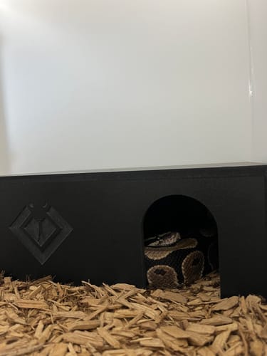 Customer photo review of BlackBox Hides Extra Long 14.5x10x5"