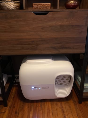 Customer photo review of Self-Cleaning Litter Box